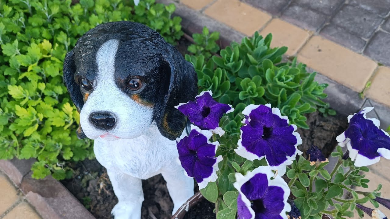 МІЙ ТРАВНЕВИЙ САДОЧОК ОМИТИЙ РЯСНИМИ ДОЩАМИ