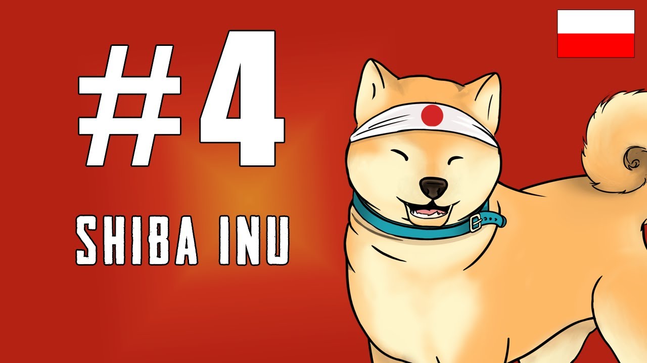 Shiba Inu - mały samuraj