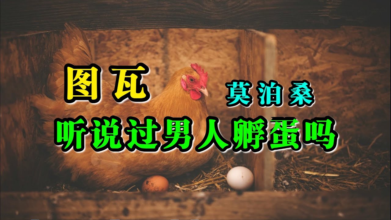 荒诞幽默故事《图瓦》莫泊桑-听说过男人孵蛋吗？