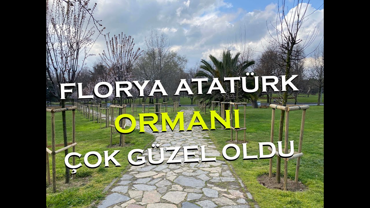Florya Atatürk Ormanı İstanbullulara Kazandırıldı