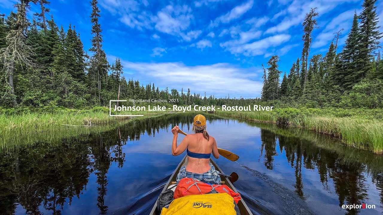 🛶 Woodland Caribou 2023 | A 200 km Canoe Loop Through Fire, Water, and Persistence