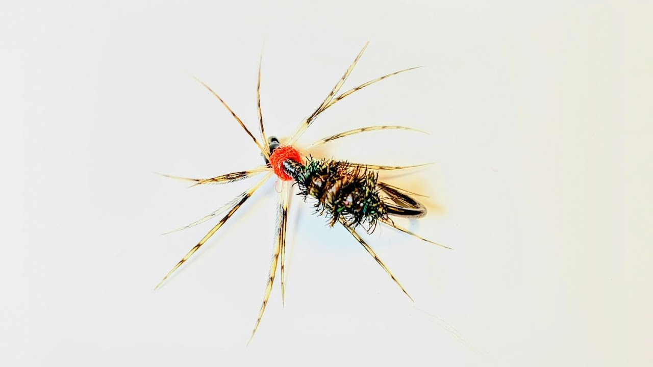Size #18 Spider Wet Fly.#flytying #flyfishing #wefly #spider #troutflies #shotaflies #Bestfly 