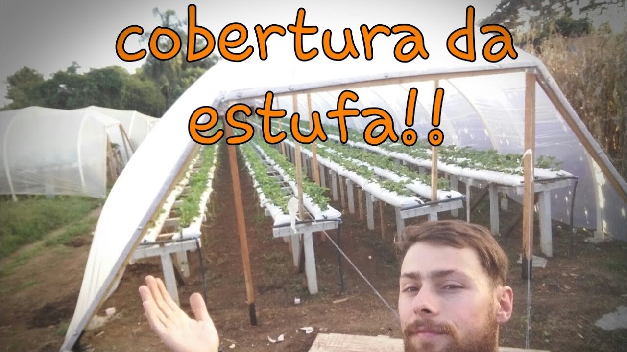 cobertura da estufa de Morango nos slebs