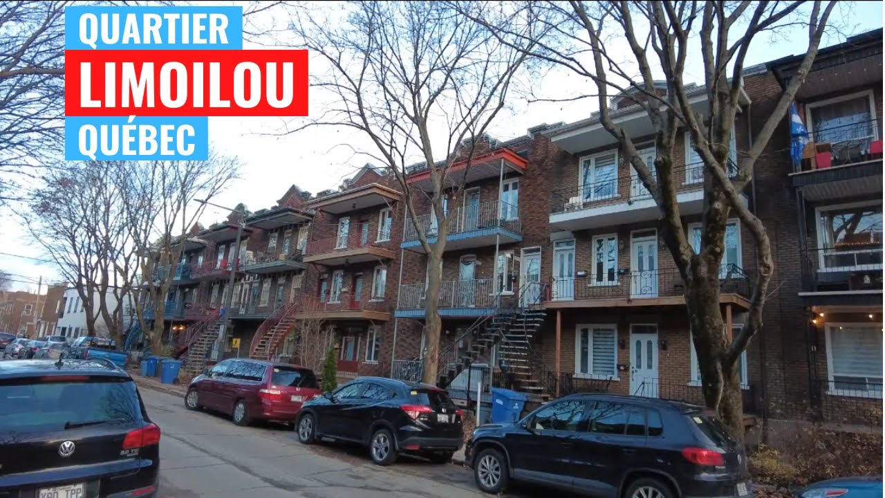 LIMOILOU, UN QUARTIER MALFAMÉ ? | Veg dans VOTRE quartier #1