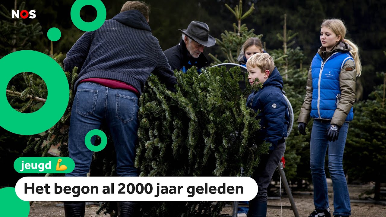 Waarom zetten mensen een kerstboom in huis?