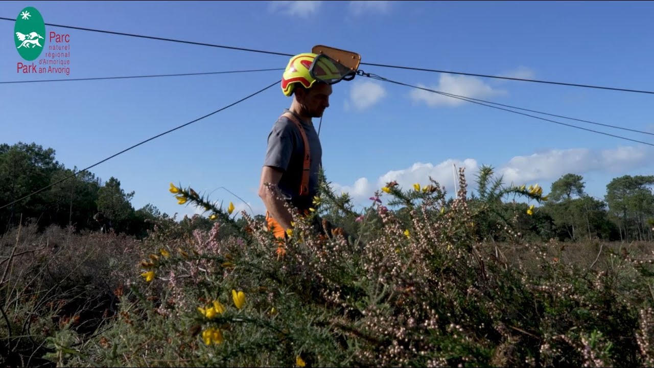 Lancement des travaux de restauration des landes et tourbières d'Armorique