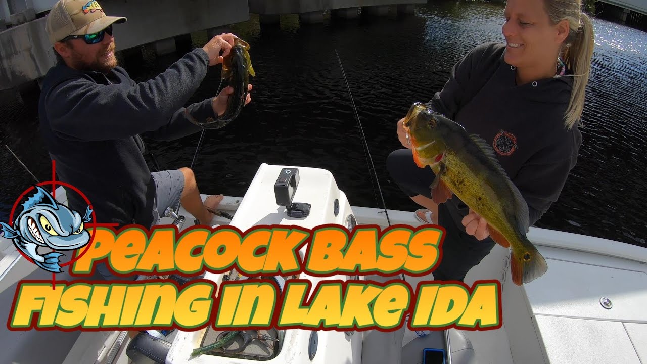 Lake Ida Peacock Bass fishing with Captain John
