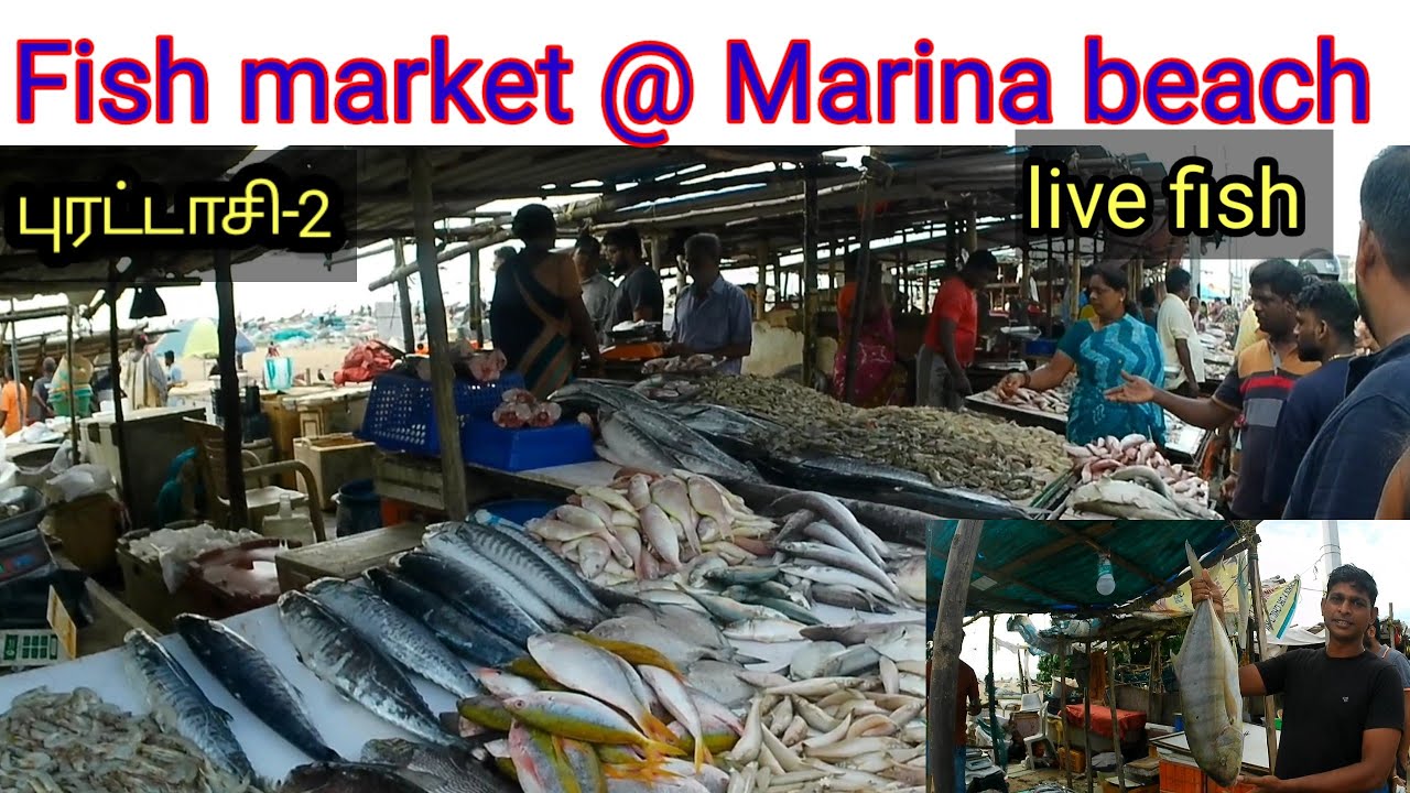 Fish market @Marina beach (light house)🐠🐠🐠 deva bytes 🙂