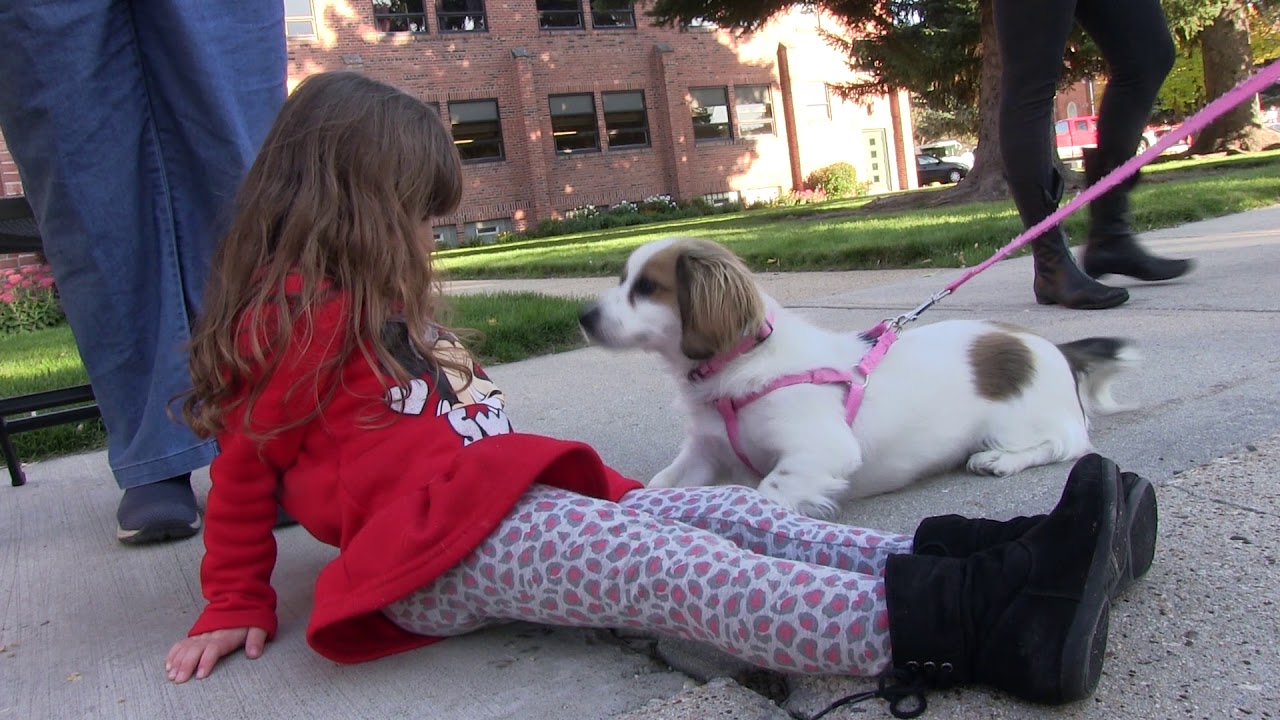 Church hosts pet blessings for St. Francis Day