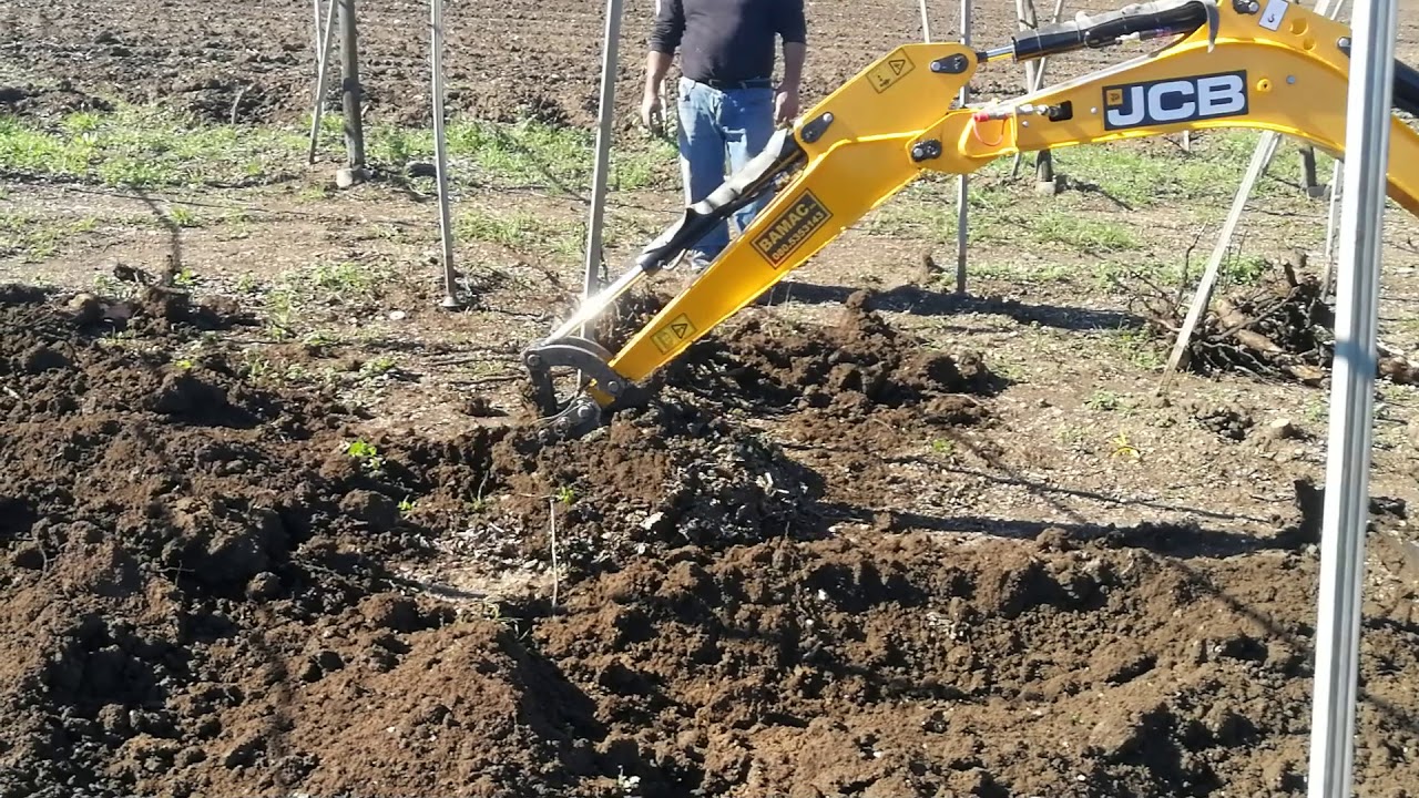 Miniescavatore jcb 19c-1 estirpazione vignto con multiripper Cangini