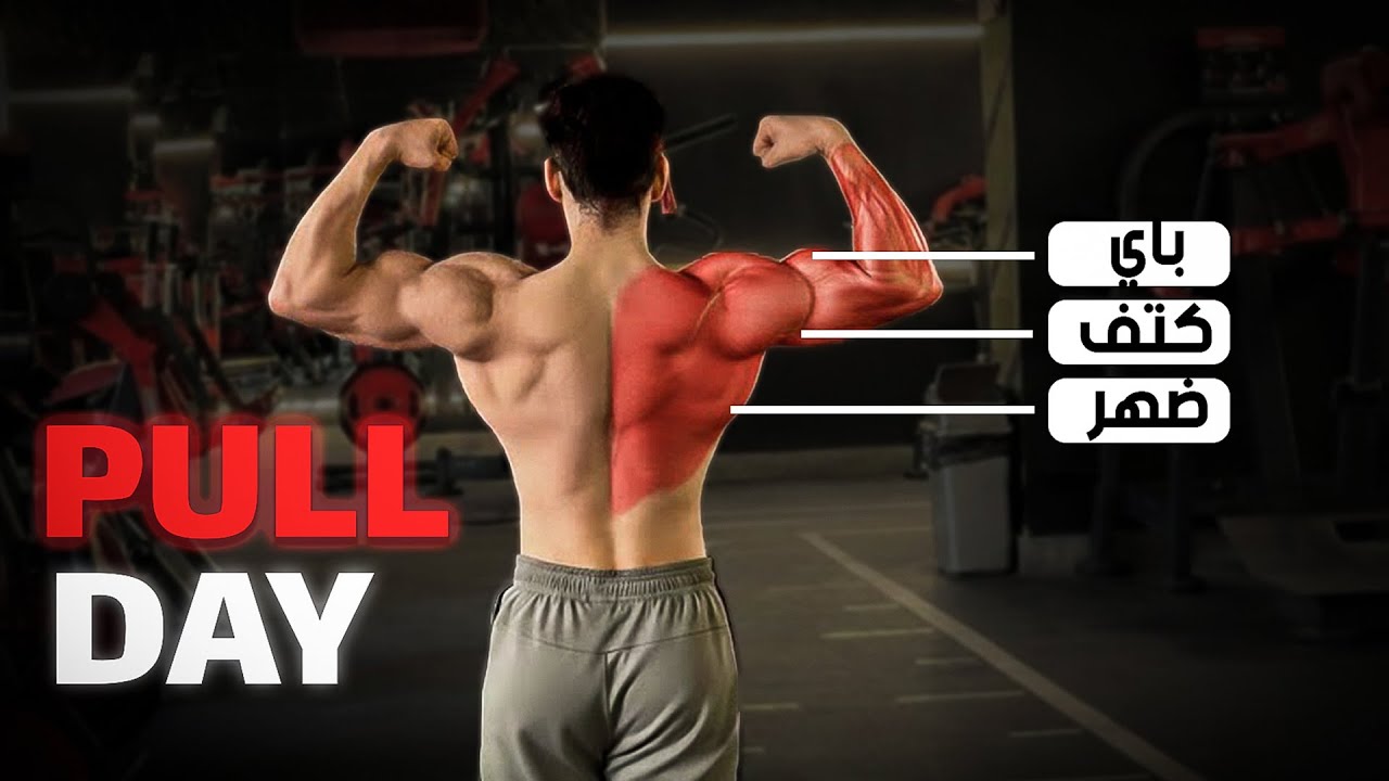 تمرينة سحب Pull كاملة 💪 | دليلك الكامل لتصميم جدول تدريبي 🔥🦾