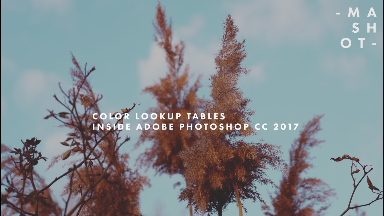 creating a color lookup table inside Photoshop CC