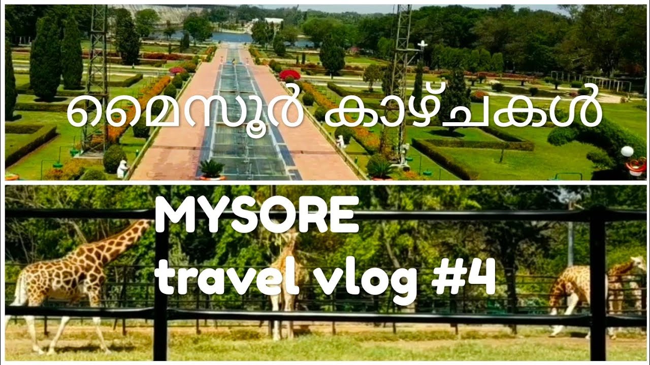 Brindavan garden and mysore Zoo#MYSORE travel vlog#4/മൈസൂർ  കാഴ്ചകൾ