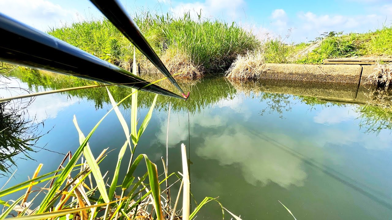 細い水路で魚の通り道をバランスの底釣りで狙ってみた【埼玉県白岡町 柴山沼】