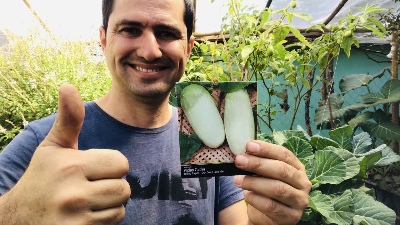 PREPARANDO A TERRA PARA PLANTAR PEPINO