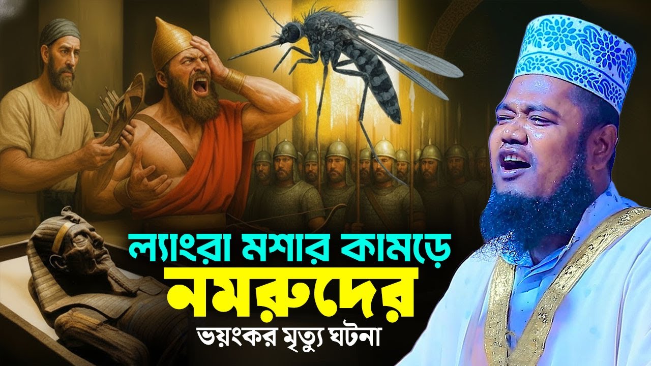 ল্যাংরা মশার কামড়ে নমরুদের ভয়ংকর মৃত্যু ঘটনা | কারী রুহুল আমিন সিদ্দিকী | ruhul amin siddiqi waz