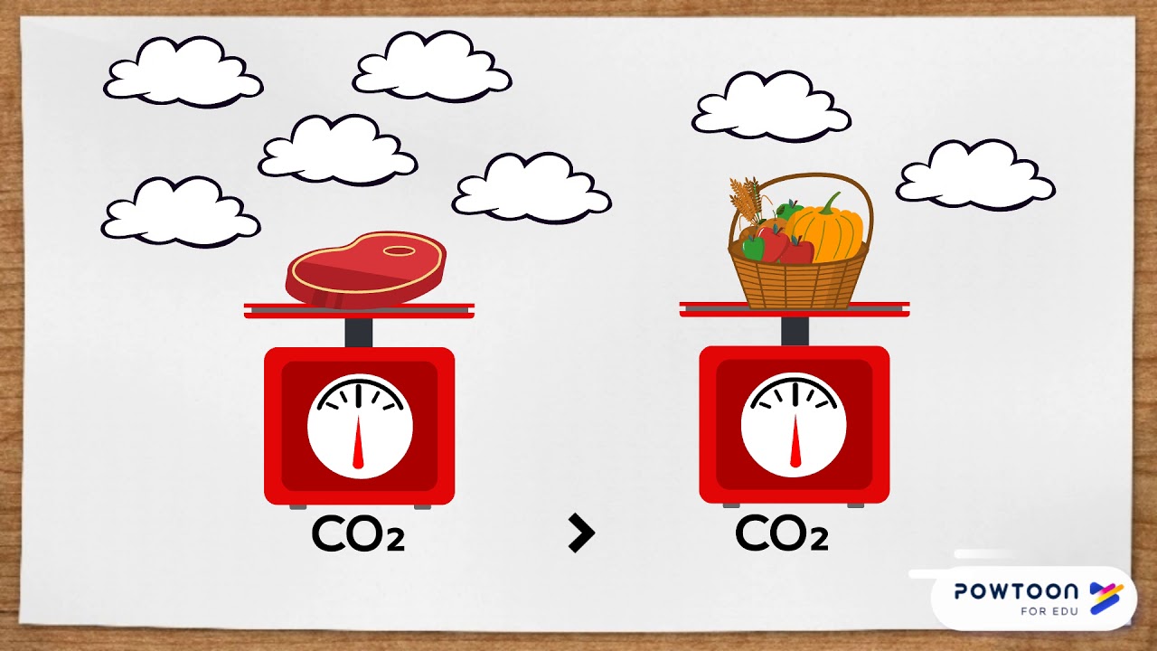 Die CO2-Bilanz von Fleisch & Gem&uuml;se