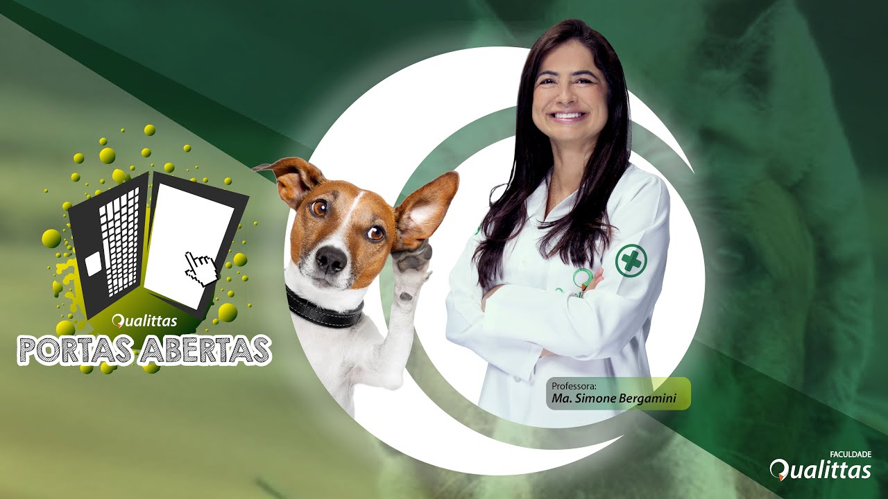 Como é a Pós-Graduação em Etologia Clínica Veterinária?