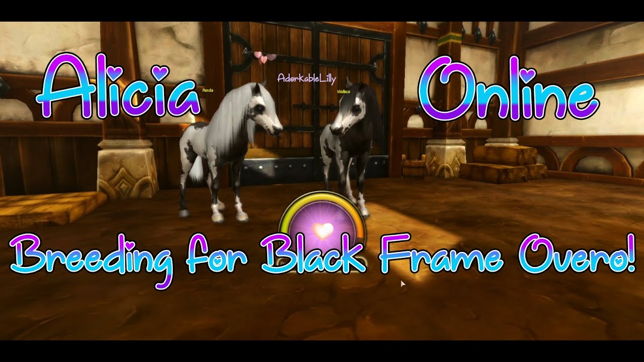 Breeding #3 - Alicia Online (Black Frame Overo)