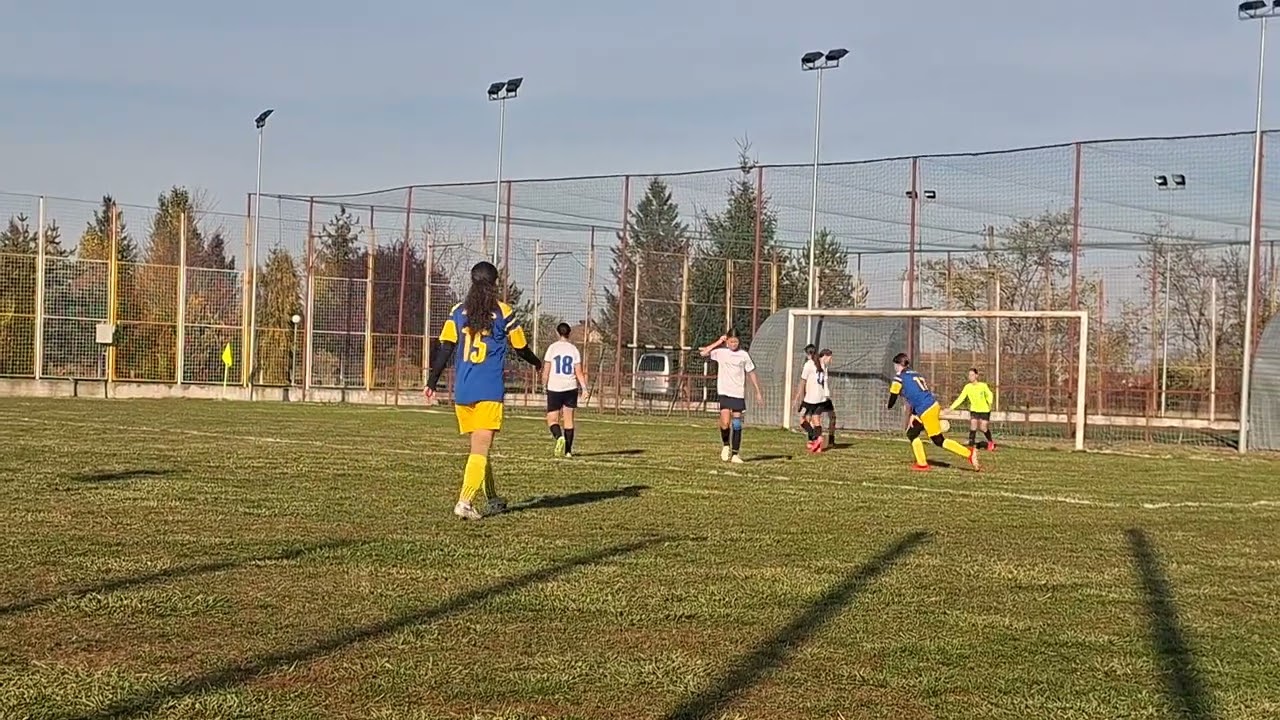 Politehnica Iasi vs Vulpitele Galbene (repriza 1)