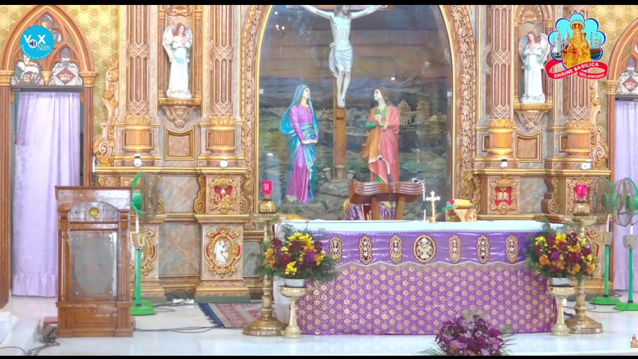 🔻 LIVE MASS || വേളാങ്കണ്ണി പള്ളിയിൽ നിന്ന് മലയാളം ദിവ്യബലി തത്സമയം || (MON to SAT 9 AM)