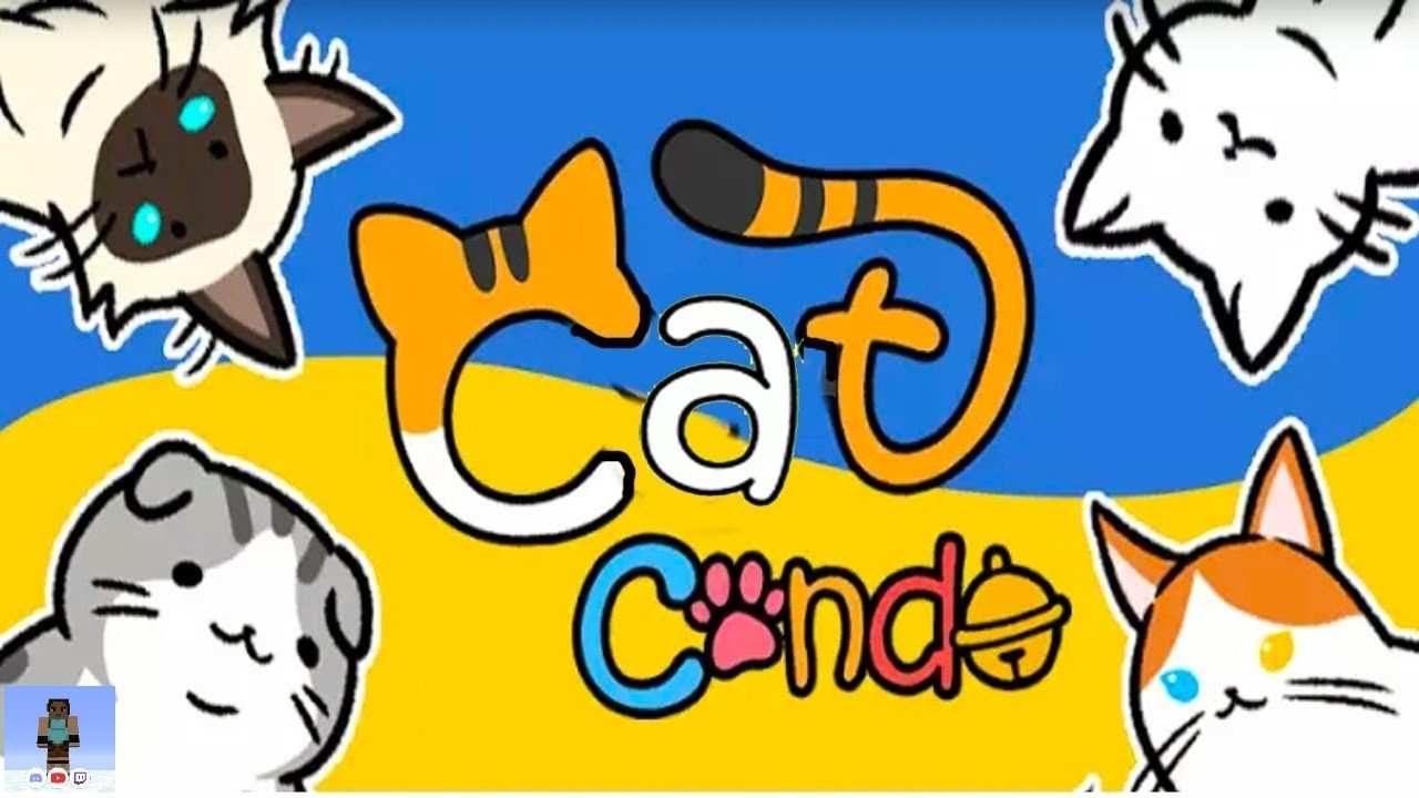 Cat Condo (J8)