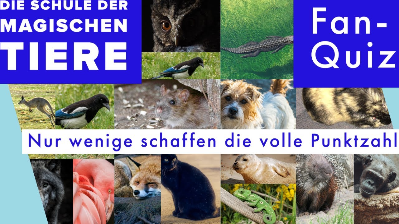Quiz - Schule der magischen Tiere? /Nur ein echter Fan kann dieses Quiz vollständig lösen