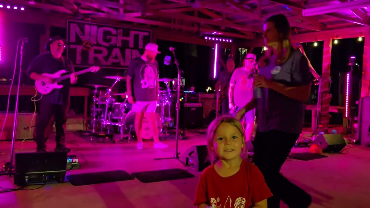 Born On the Bayou CCR cover by Night Train 