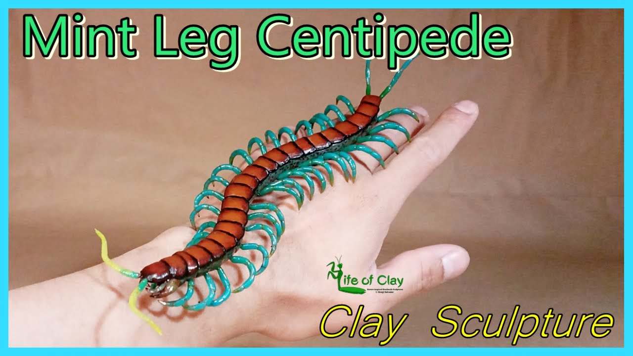Sculpting Chinese Mint Leg Centipede (Scolopendra subspinipes)_Polymer Clay_Life of Clay