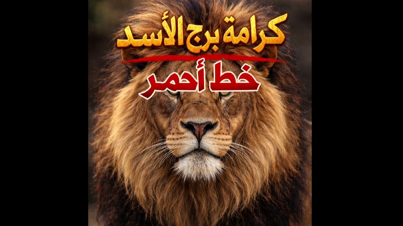 كرامة الأسد ♌️  خط أحمر 