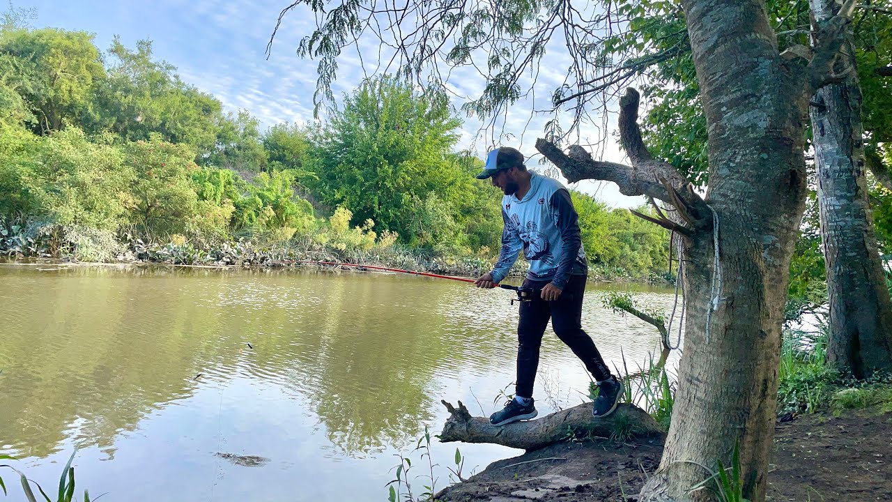 PESCA EN ARROYITO LLENO DE BESTIAS