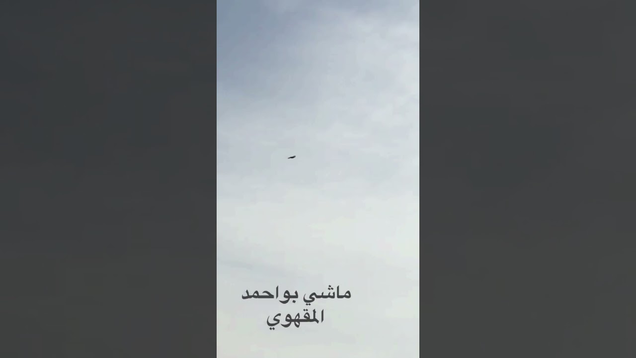 حمام لوت سبب ضياع الحمام