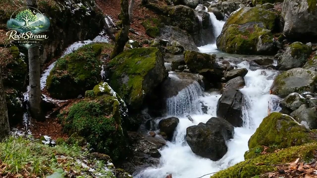 Peaceful Waterfall Ambience for Sleeping, Relaxation & Mindfulness | Nature Sounds