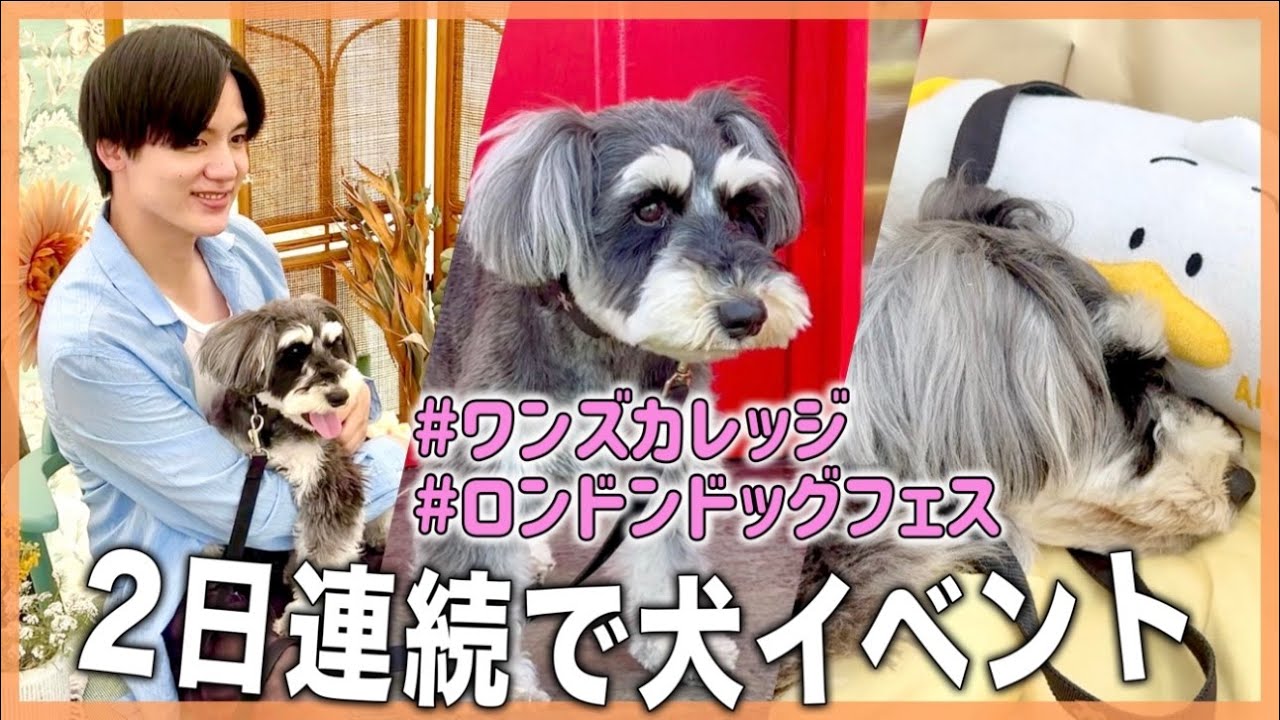 2日連続で犬イベント！ロンドンドッグフェスタ＆ワンズカレッジ