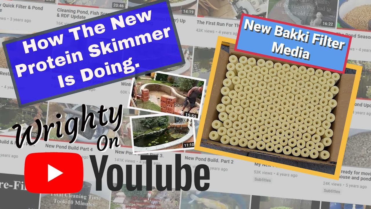 Protein Skimmer, New Media & Pond Clean.