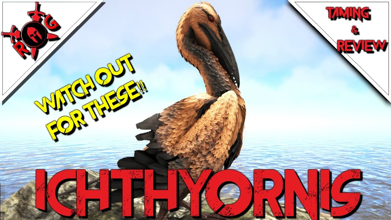 ARK: ICHTHYORNIS TAMING & REVIEW! Patch 256