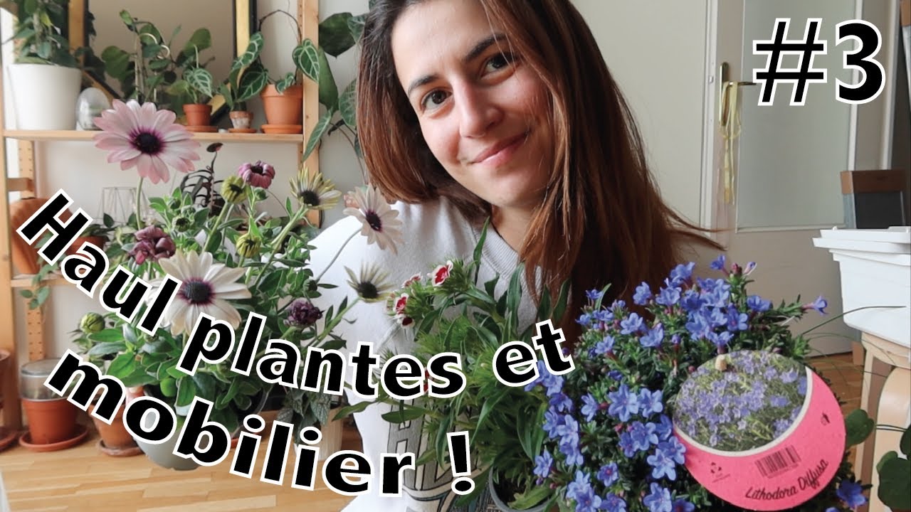 Haul shopping plantes vertes pour balcon plein sud & mobilier IKEA !