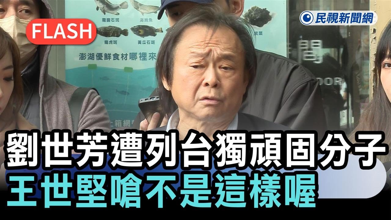 快新聞／劉世芳遭列台獨頑固分子　王世堅嗆不是這樣喔：我也可列十大罪惡分子－民視新聞