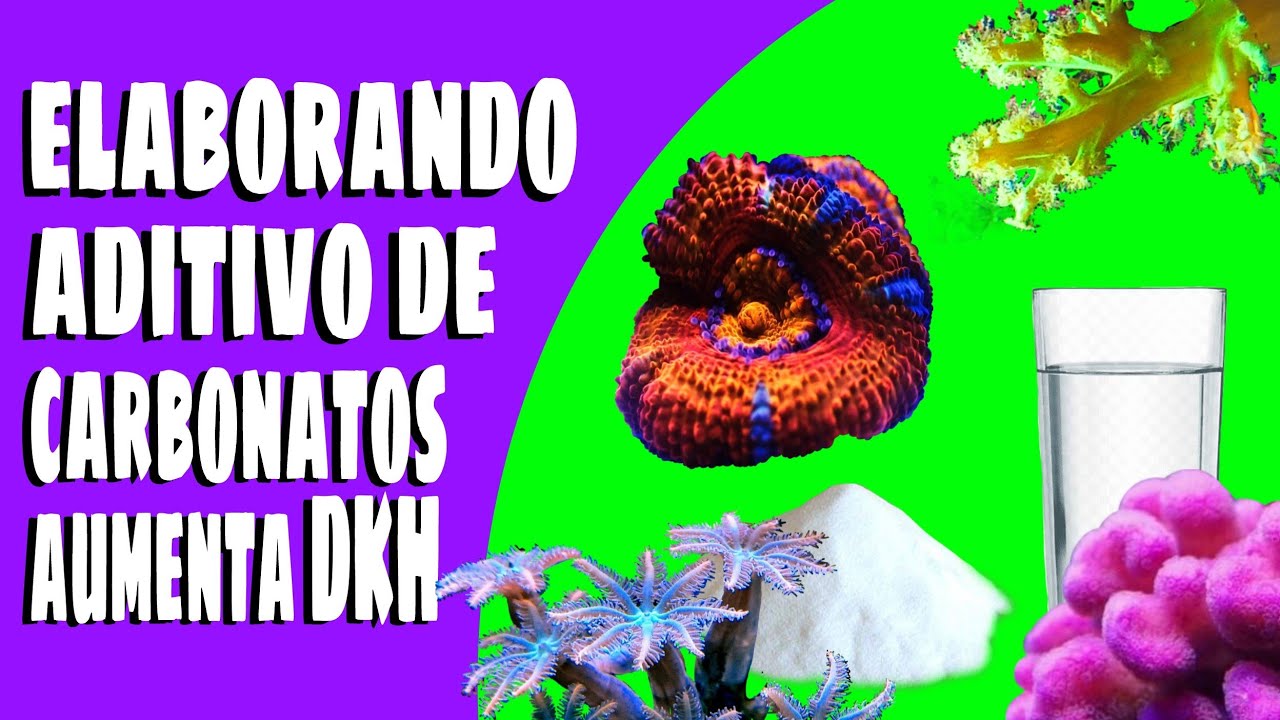 elaborando aditivo de carbonatos para aumentar dkh