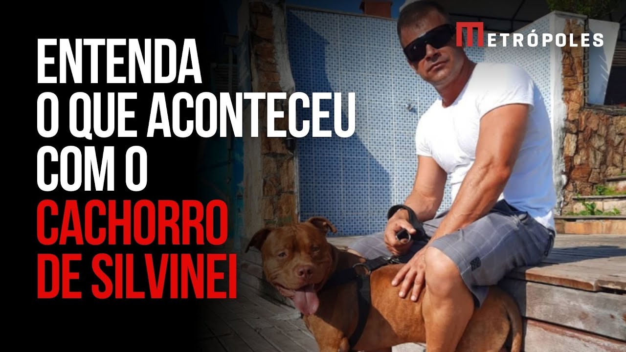 Saiba o destino do cachorro levado por Silvinei Vasques em fuga