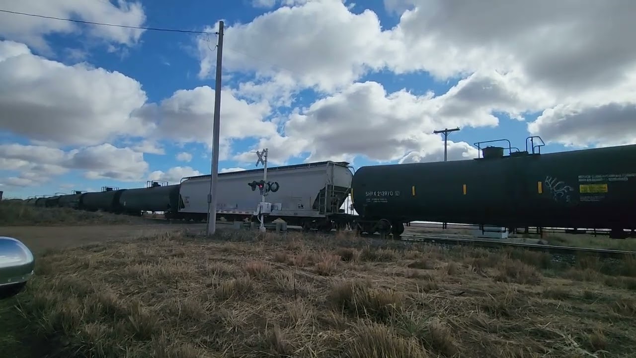 Union Pacific manifest train 
