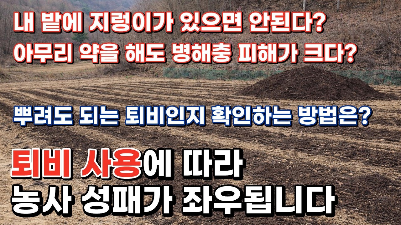 아직도 냄새나는 퇴비 사용...퇴비 사용에 따라 농사 성패가 좌우됩니다.