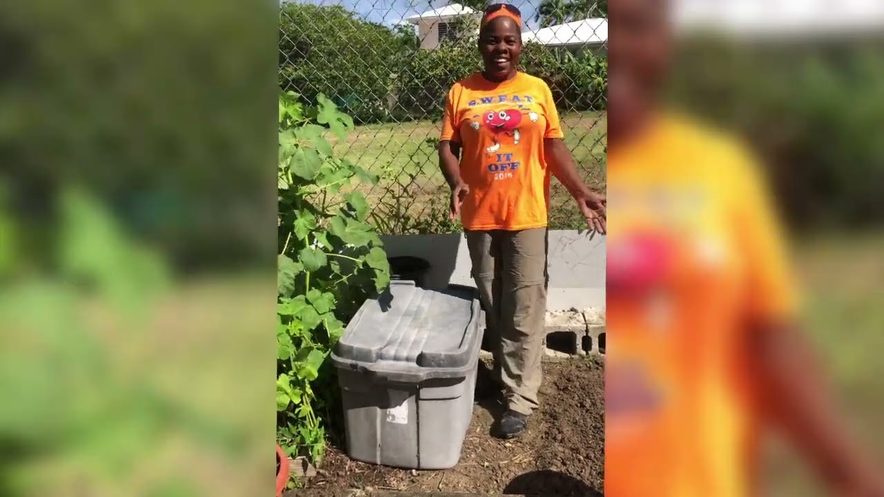 My Soil Factory: using Bokashi Bran