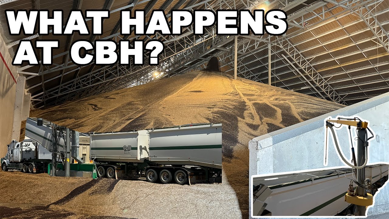 Поеду в CBH, чтобы посмотреть, что происходит с моим зерном | Урожай 2023 | Западная Австралия