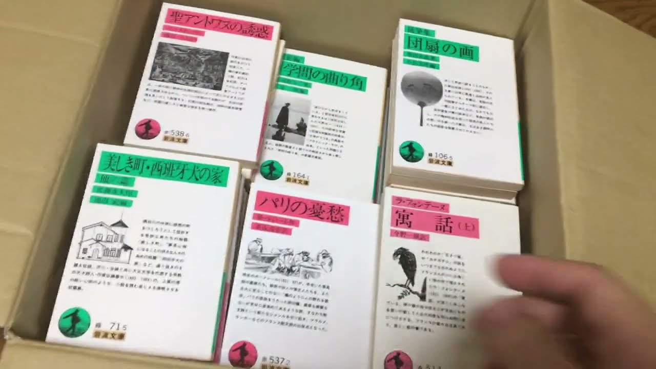 ヤフオクで岩波文庫100冊を一気に買ったので開封と紹介です！【純文学・オススメ小説紹介】