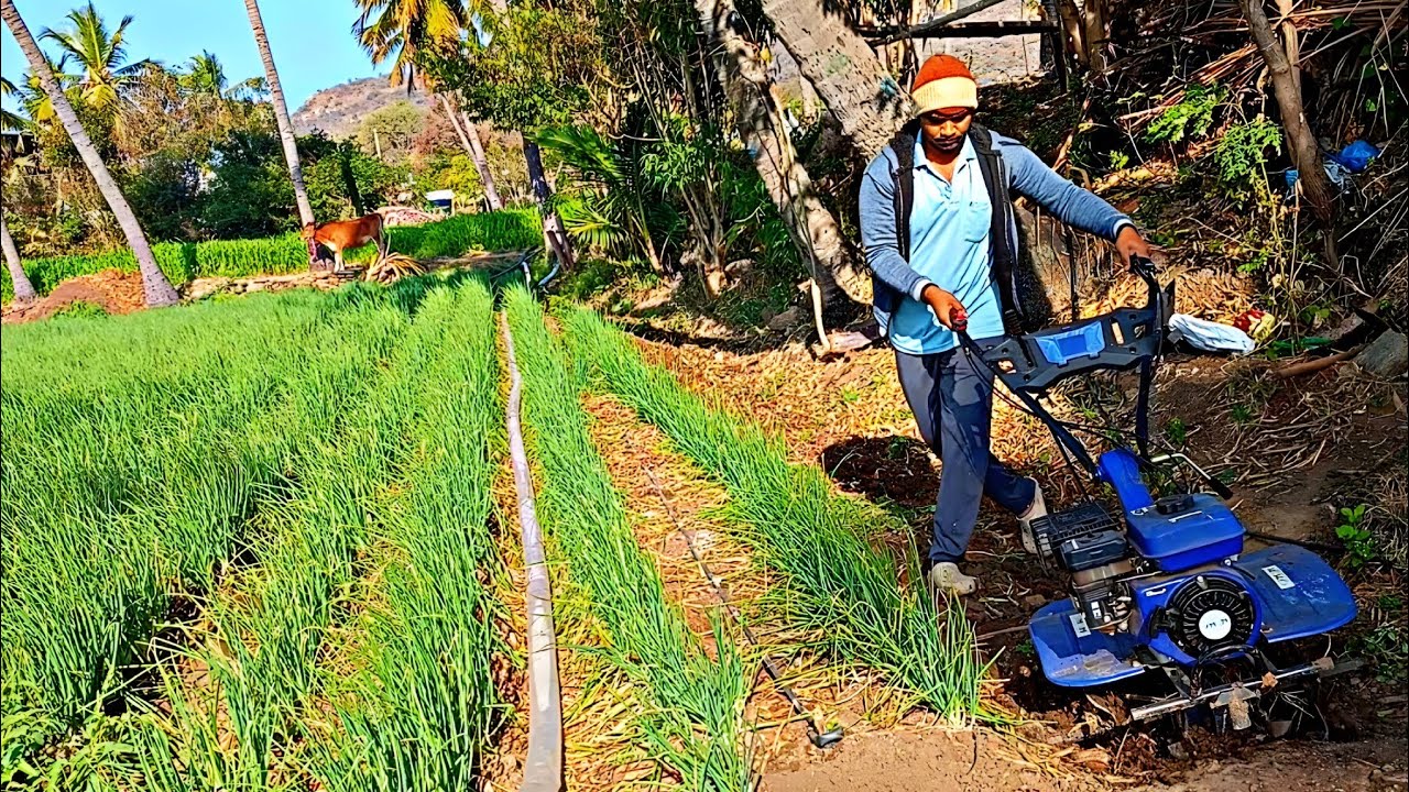 #agriculture