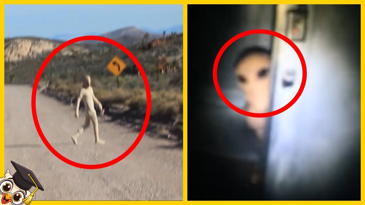 10 Aliens Op Camera Vastgelegd