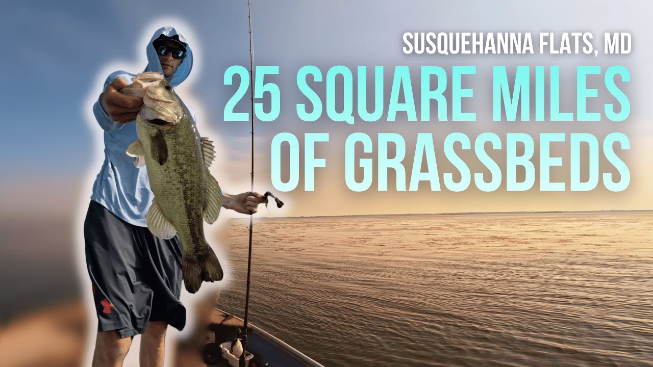 Evening Bass Fishing (Susquehanna Flats, MD)