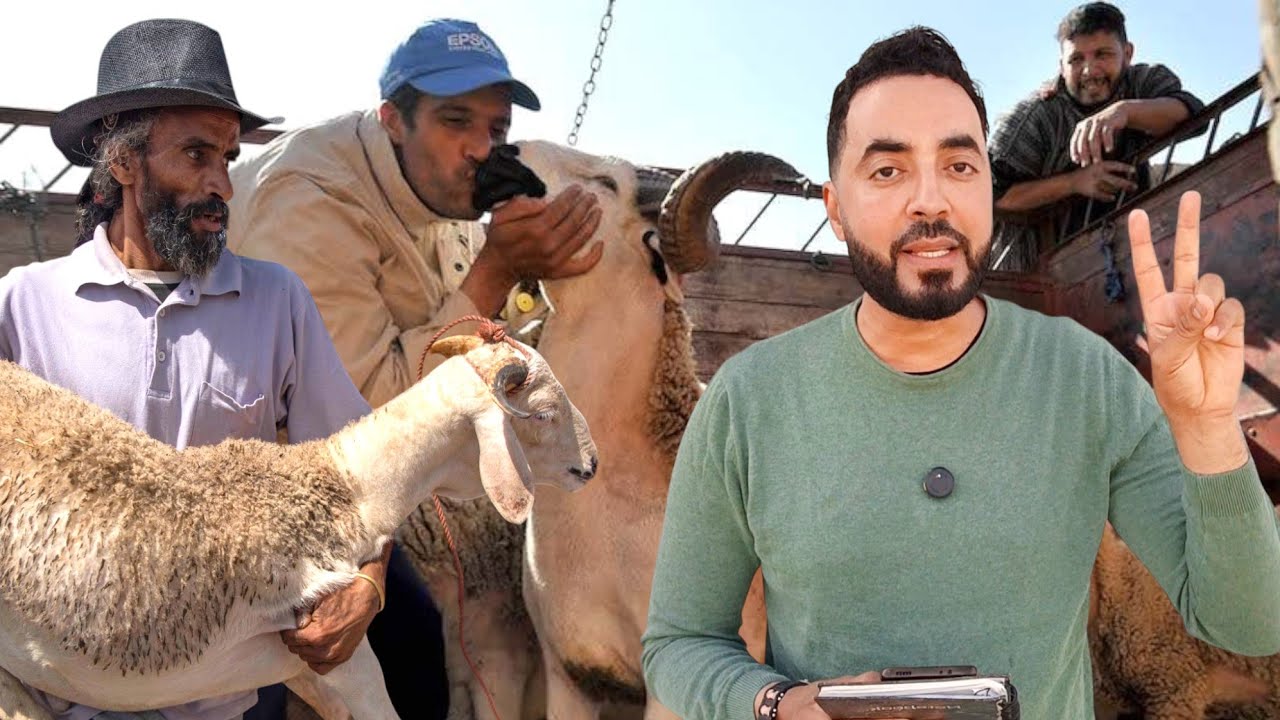 مع اقتراب العيد الإقبال على شراء الأضاحي رغم قرار المنع في أكبر الأسواق بـ الناظور