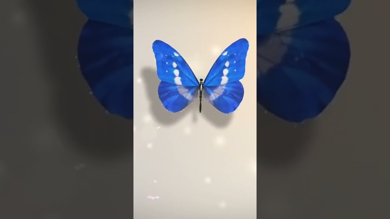 يوم المرأة العمانية ( ١٧/ أكتوبر  ) 